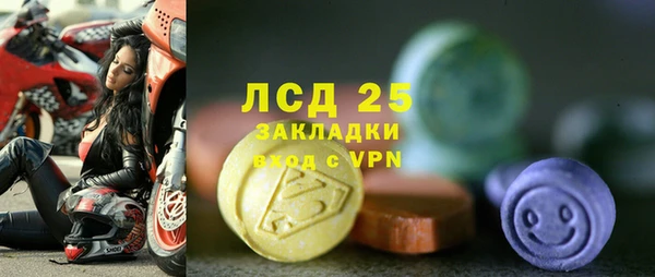 стаф Алексин