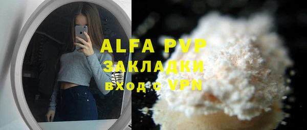 стаф Алексин