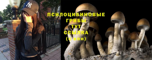 стаф Алексин