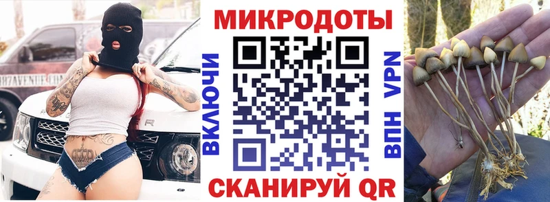 Галлюциногенные грибы GOLDEN TEACHER  купить закладку  Выкса 