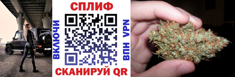 где можно купить   Выкса  Бошки Шишки AK-47 
